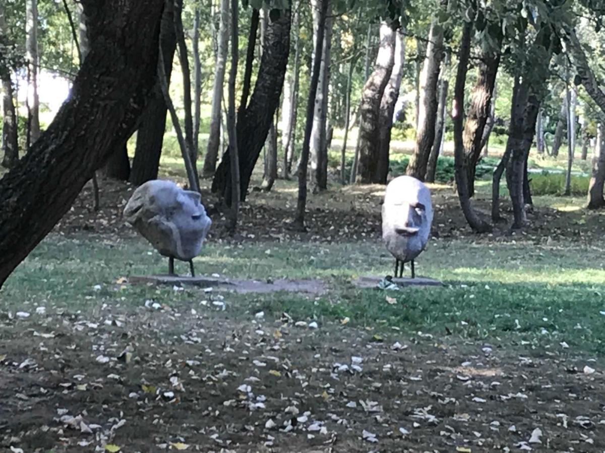 Kasztanowa Apartament Varšava Exteriér fotografie